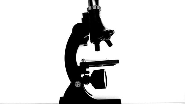 Microscope