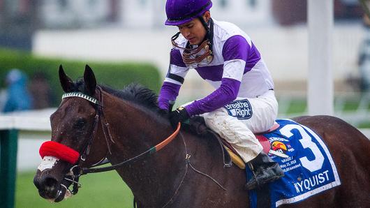 Mario Gutierrez aboard Nyquist #3 reacts after losing the the the 141st running of the Preakness Stakes Exaggerator #5