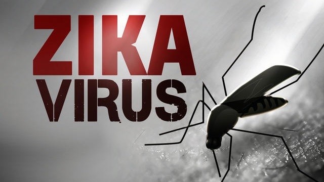 CDC says 157 pregnant women in US test positive for Zika