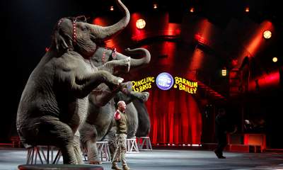 US Circus Holds Final Performing Elephant Show