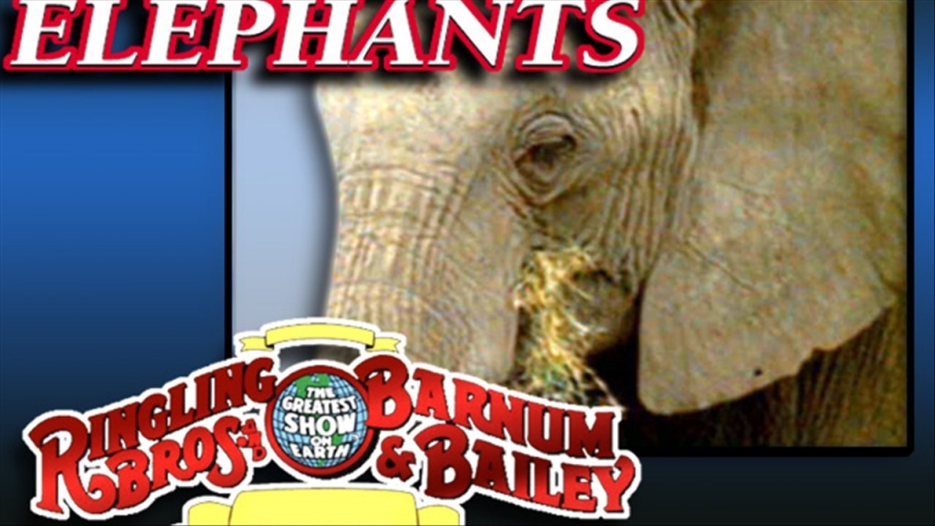 Ringling Bros. elephants quit showbiz, join the fight against cancer