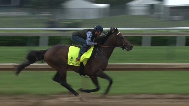 11. Exaggerator – Jockey Kent Desormeaux