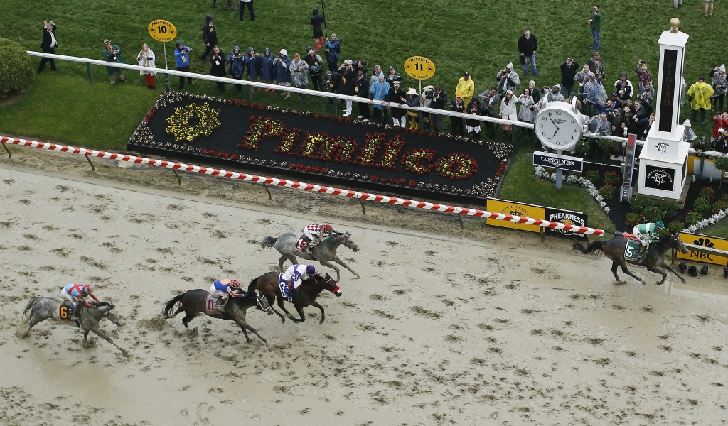 Exaggerator with Kent Desormeaux aboard wins the 141st Preakness Stakes horse race as Cherry Wine with Corey Lanerie atop and Nyquist with Mario Gutierrez aboard come in at Pimlico Race Course Saturday