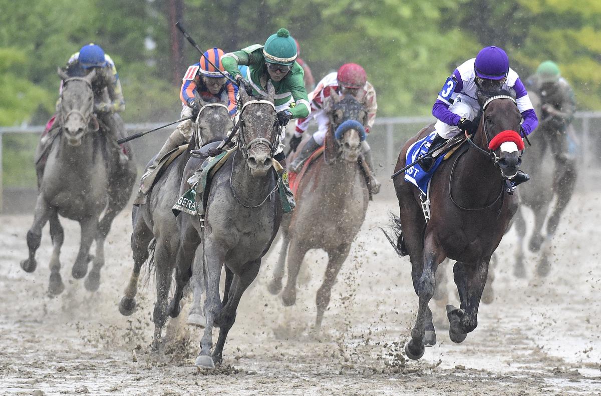 Derby winner Nyquist ready for Preakness, even a rainy one