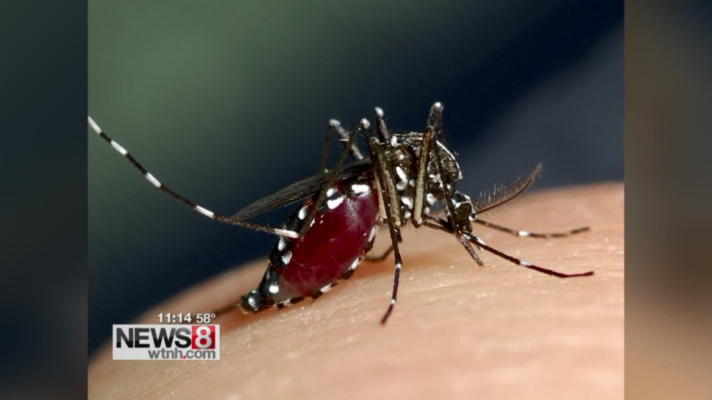 Sen. Nelson Backs GMO Mosquito Release In Florida Keys