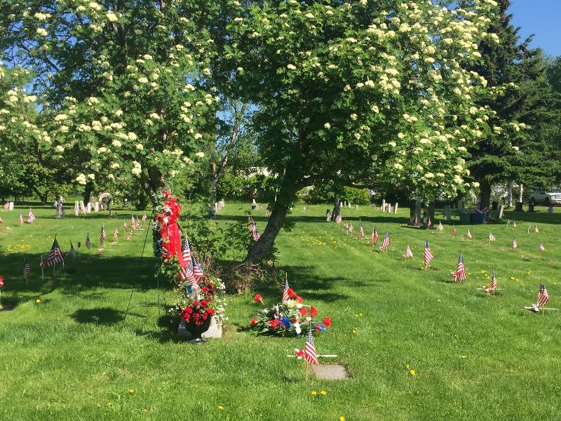 Flags at Anchorage Memorial Park Cemetery