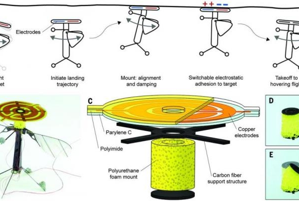 Watch a tiny insect-inspired robot fly, land and take off again