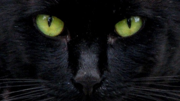 Friday the 13th is considered unlucky by many cultures so you may want to avoid black cats and walking under ladders