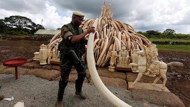 Kenya will light $100 Million Ivory Bonfire to stop poaching