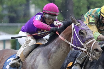 Homeboykris collapsed and died after winning Saturday’s first race at Pimlico