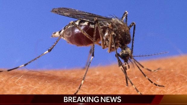 Woman who recently traveled to Honduras has first confirmed case of Zika virus in Wisconsin