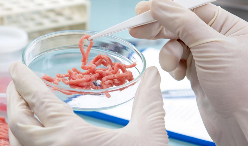 Human and rat DNA found in burgers according to lab report