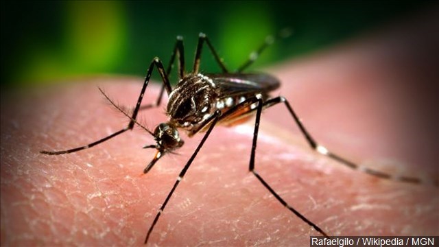 Public health forum held amid Zika virus concerns