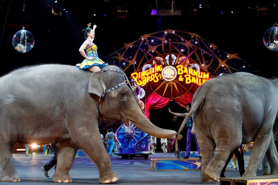 Final bow for Ringling Bros' elephants