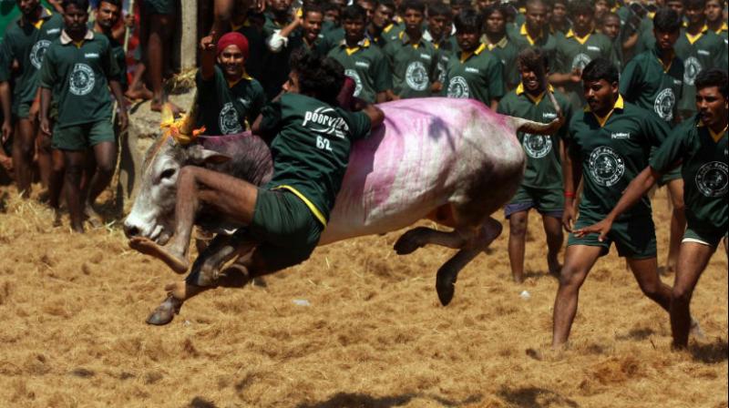 Close to 3,740 candidates are in the fray in Tamil Nadu the land of beaches temples and Jallikattu