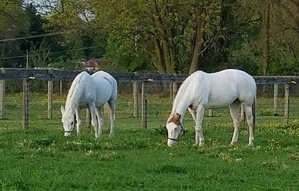 Lily left and Anita are both making great strides in their recovery