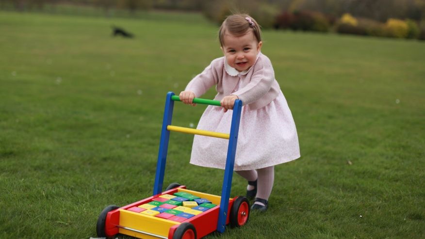 Pictures of Princess Charlotte released ahead of her first birthday