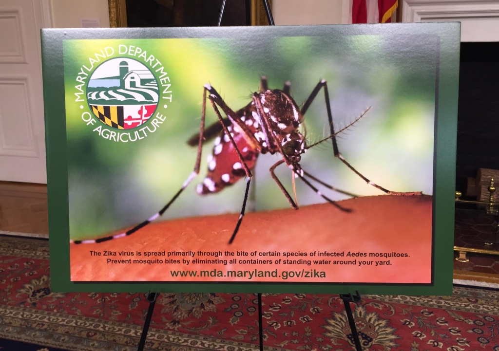 Gov. Larry Hogan displayed this image of a mosquito at a Friday press conference