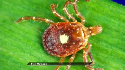 About 25,000 Americans were diagnosed with Lyme disease last year and 33 of those cases were in North Dakota