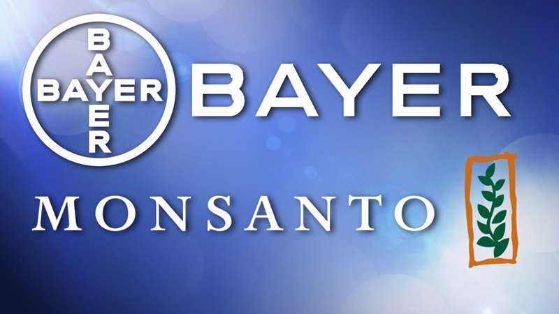 Monsanto to reject Bayer bid seek higher price – sources