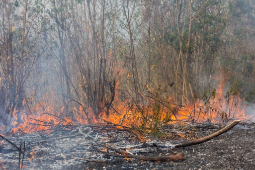 Wildfire Update- Fort McMurray