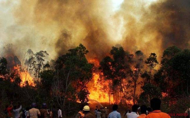 More than 2,900 hectare of forest land has been devastated by the forest fires in Uttarakhand