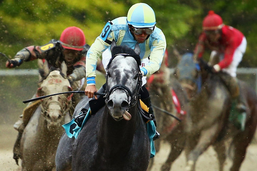 Cat Fiftyfive riden by Angel Cruz leads the field to win a race prior to the 141st running of the Preakness Stakes at Pimlico Race Course