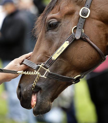 Nyquist is a 3-1 favorite for the Kentucky Derby