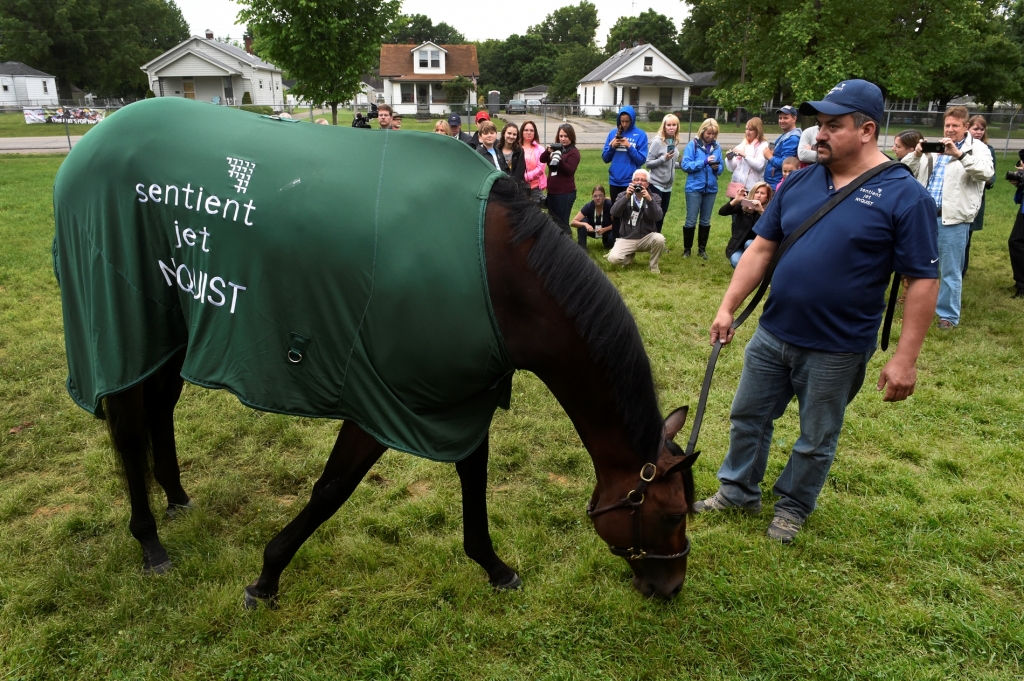 Nyquist Greets Public After Derby