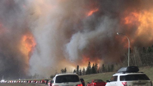 Edmonton Wildfire