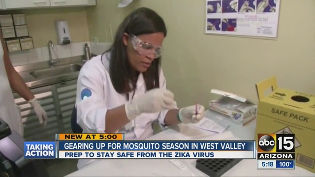 Preparing to stay safe from the Zika virus across the Valley                      KNXV