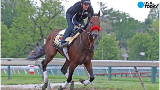 Confidence surrounds Nyquist camp for Preakness