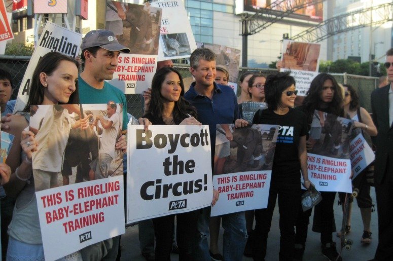 People protesting the circus use of elephants