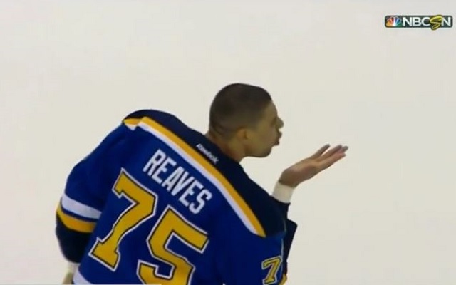 Ryan Reaves is a fighter and a lover