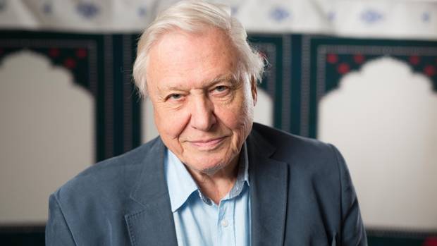 TV's Sir David Attenborough was described by Michaela Strachan of Springwatch as 'a god of wildlife presenters