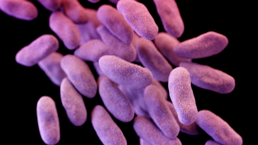 Deadly 'Superbugs' That Don't Respond To Treatment Are Getting Closer Than Ever