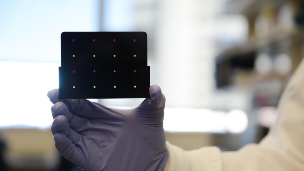 This cartridge contains a new paper based diagnostic test for Zika virus. The dots that have turned purple have detected the virus