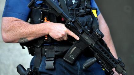 Dame Anne Owers hit back at fears about a national shortage of armed police