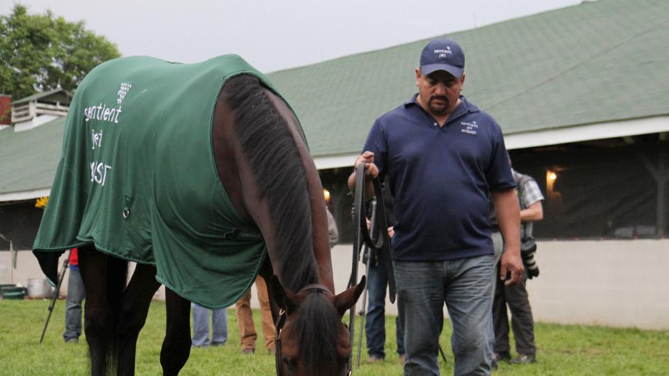 Kentucky Derby winner Nyquist is held by Fernel Serrano at Churchill Downs in Louisville Ky. Sunday