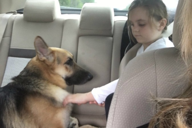 Florida dog saves young girl from rattlesnake