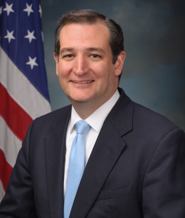 WASHINGTON – Sen. Ted Cruz says he wants another term in the Senate