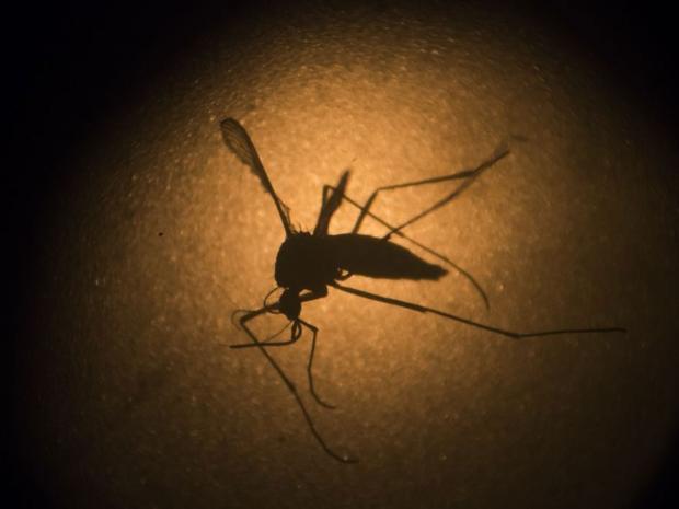 Officials Taking Zika Precautions