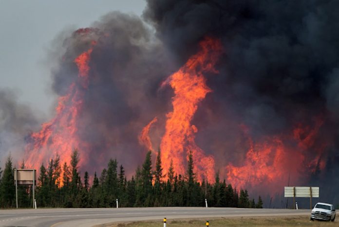 Canada wildfire raging in Alberta has spread from Fort McMurray into Saskatchewan