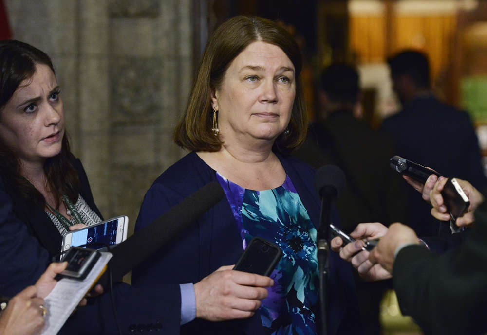 Health Minister Jane Philpott talks with media in Ottawa on Wednesday