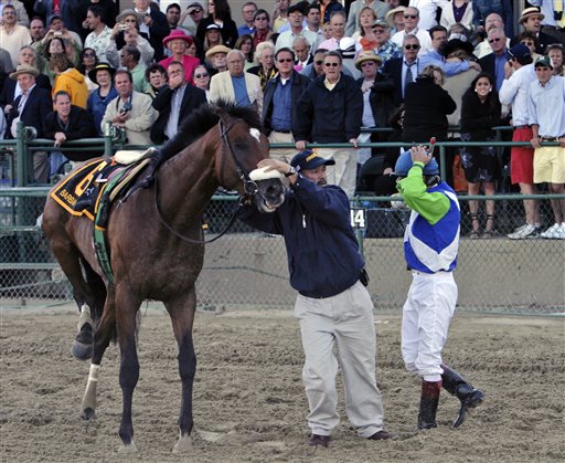 Barbaro is steadied a track worker as jockey Edgar Prado looks on after he pulled up the horse with a fractured right rear leg during the 131st running of the Preakness Stakes horse race at Pimlico Race Course in B