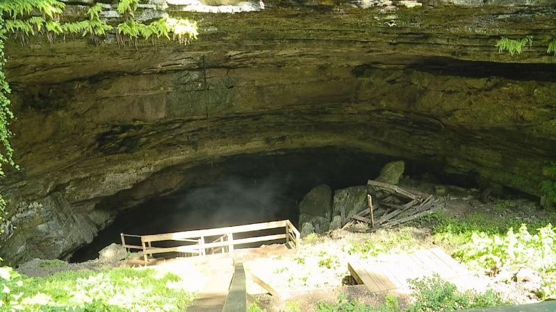 Trapped group escapes Kentucky cave through neck-deep water