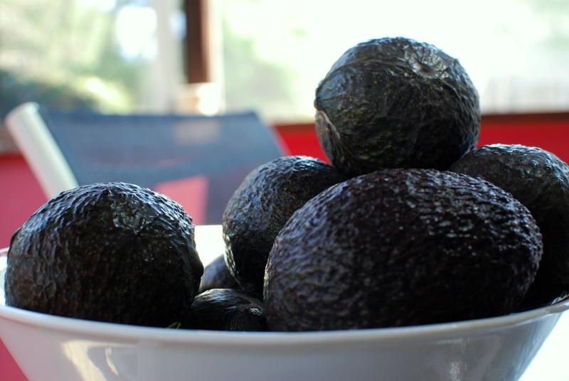 Avocado shortage fuels crime wave in New Zealand