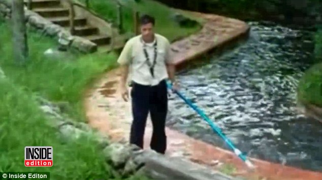 A troubling video showing a Disney employee fending off an alligator with a pole mere feet away from visitors has surfaced