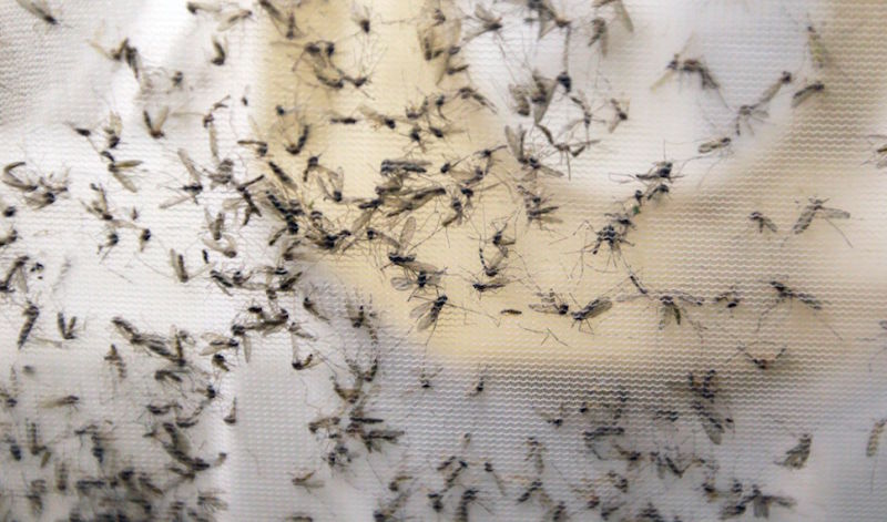 House, Senate GOP seals agreement on $1.1B Zika measure