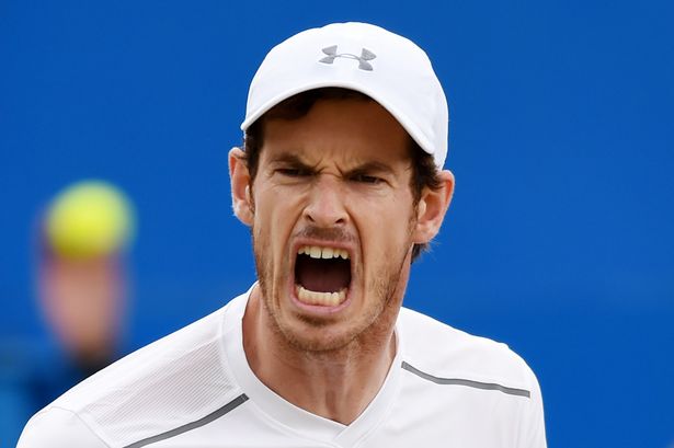 Andy Murray roars to victory